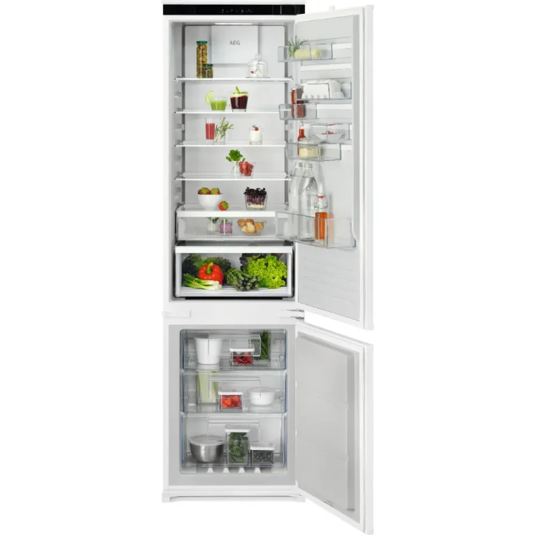 Frigorífico Combinado AEG NSC6M19FDS